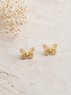 Topos biodiversidad mariposa