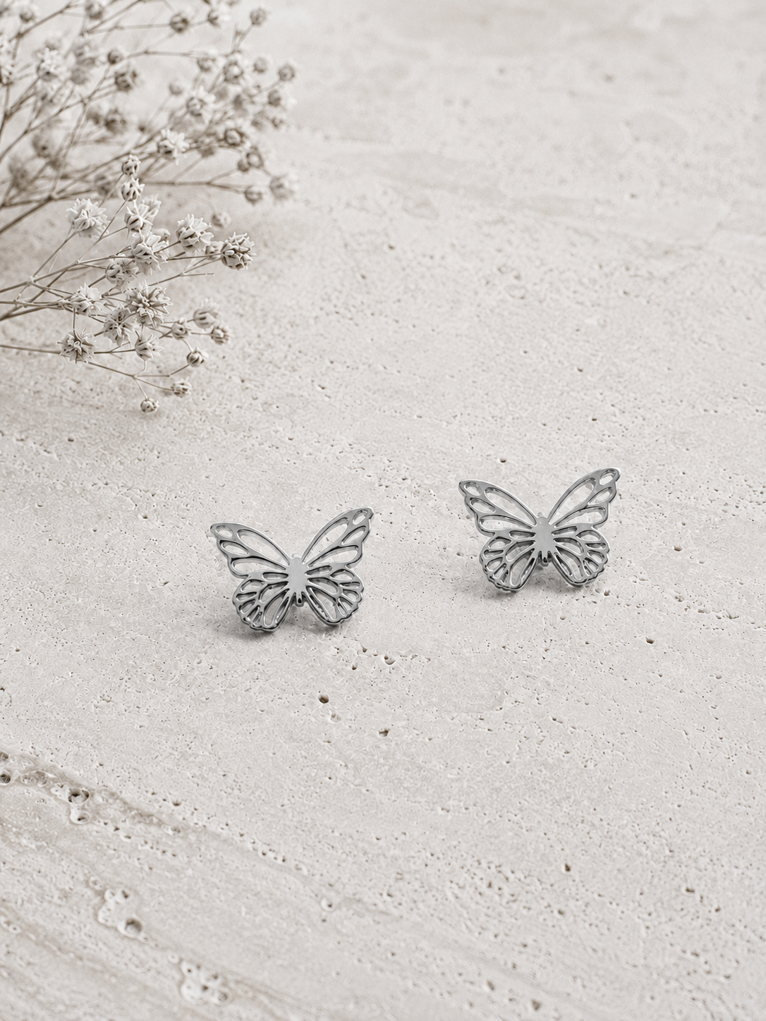 Topos biodiversidad mariposa